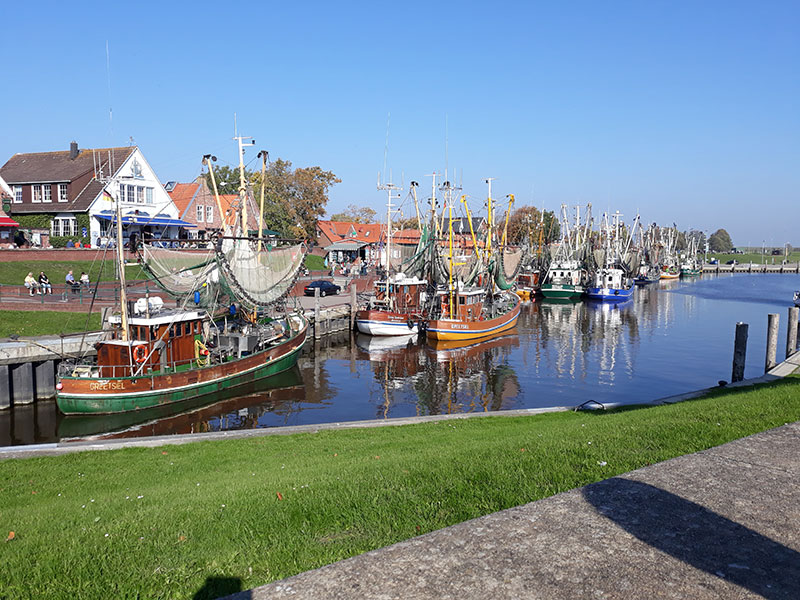 Hafen in Urlaubsregion Greetsiel